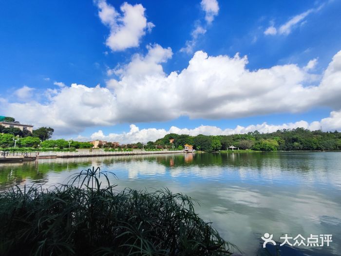 南国桃园旅游度假区图片