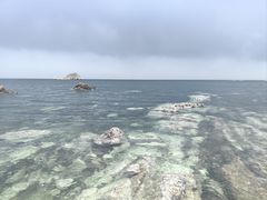 -养马岛旅游度假区