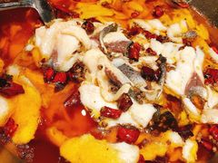 -雲蜀龙阁·金牌水煮鱼(方庄店)