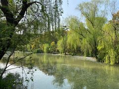 -同里国家湿地公园