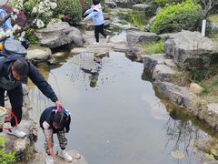 -铁山坪森林公园