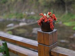 -宁波余姚老柿林山居度假村
