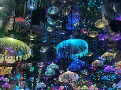 -梵高星空艺术馆(北京旗舰店)