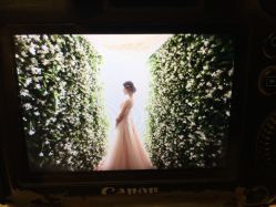 点击看大图 -太郎花子婚纱摄影艺术中心