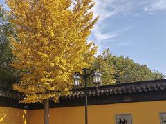 -西园寺素食(西园弄戒幢律寺店)