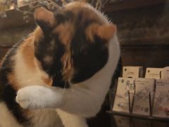 -BUND·FIVE外滩5号(天际店)