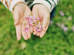 -华侨城湿地公园