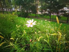 -长春市南湖公园