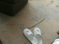 -北京园博大酒店