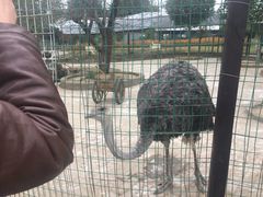 -武汉紫薇都市田园