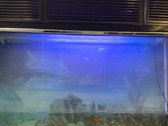 -德全心悦酒店(北京金台路地铁站店)