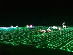 -李小龙乐园(顺德均安店)