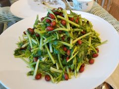 凉拌芹菜芯-皇朝海鲜酒店