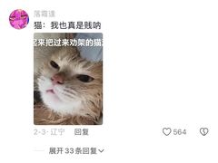-康成宠物医院24H·CT·核磁共振
