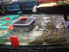 -渔傅·蓝海岸霞浦海鲜(正祥店)