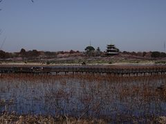 -上海海湾国家森林公园