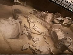 -洛阳周王城天子驾六博物馆