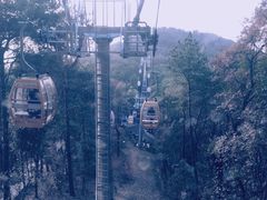 -东湖磨山景区