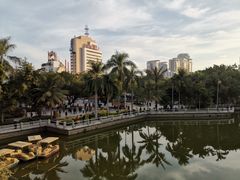 -金砂公园