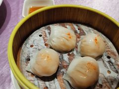 -宝燕壹号(徐汇店)