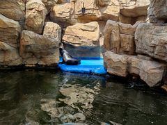 -华夏文旅海洋公园