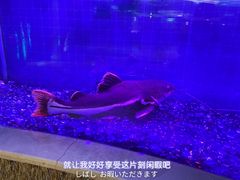 -碧涛阁水世界酒店(万家丽路店)