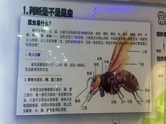 -上海大自然野生昆虫馆(东方明珠·爬宠昆虫探索中心)