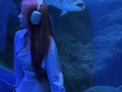 -左海海底世界