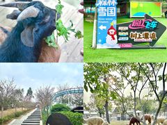 -盈香心动乐园