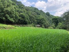 -世间香境·七溪地