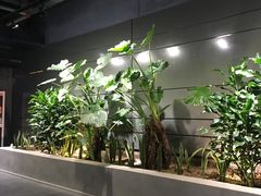 -北国商城