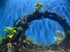 -海合安武汉极地海洋公园