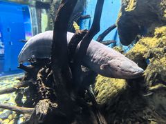 -厦门海底世界
