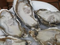 -源港渔村-中山脆肉鲩(博罗店)