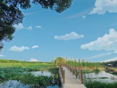 -同里国家湿地公园