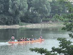 -羊山湖公园
