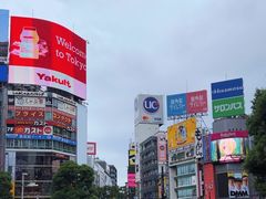 -涩谷区