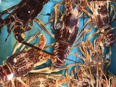 -宜宾海鲜酒家·三十年老字号