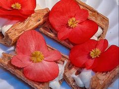 -弦月窗LUNETTE BY AMANDA(复兴路店)