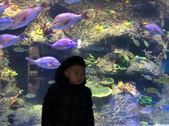 -沙沙哗啦海洋馆(华宇百花谷店)
