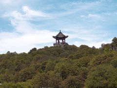 -贵州百里杜鹃风景名胜区
