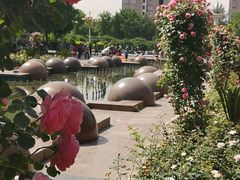 -西清公园