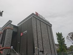 -华西坝(地铁站)