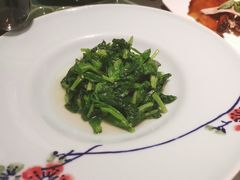 清炒豌豆尖儿-晟永興烤鸭店(五道口店)