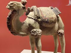 -陕西历史博物馆