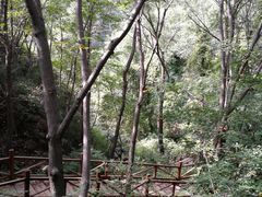 -大岭沟猕猴桃谷风景区