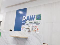 -佩兹宠物医院肿瘤专科·眼科·牙科(黄浦店)