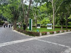 -野象谷景区