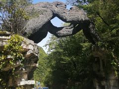 -神农架景区