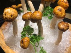 -凤园椰珍·臻品椰子鸡(保利时光里店)